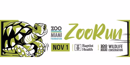 Zoo Run 2025