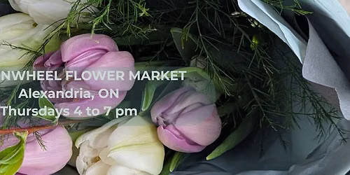The Sunwheel Flower Market