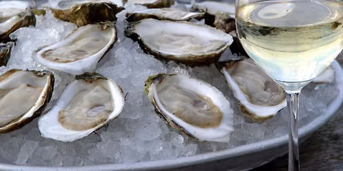 Wine & Brine Coastal Cruises in Providence