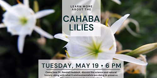 Learn More About the Cahaba Lilies