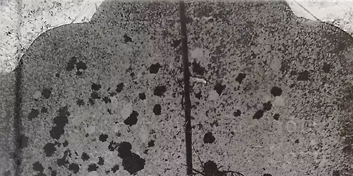 Spotkanie autorskie z Bogus\u0142awem Michnikiem