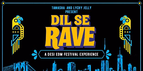 Dil se Rave New York: EDM with a desi soul
