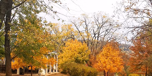 Wine Club Appreciation Weekend