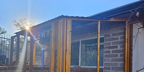 Cat Toy Making workshop + Catio tour with GreenBee & Hermitage Cat Shelter