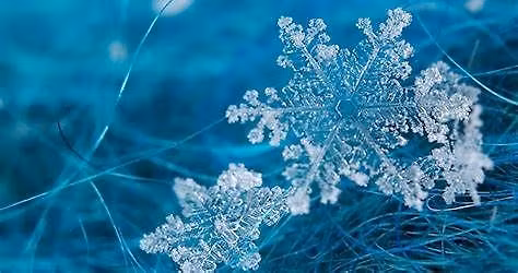 Ice Skating with Elsa Teatime