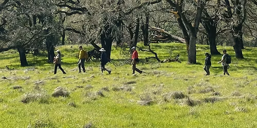 Wildlife Corridor Walk at Glen Oaks Ranch