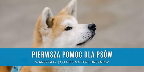 Warsztaty: Pierwsza pomoc dla ps\u00f3w