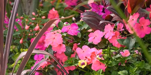 Summer Container Design Workshop