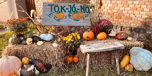 VI. T\u00f6k-J\u00f3-Nap