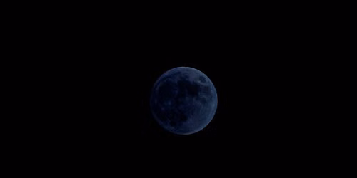 New Moon Circle