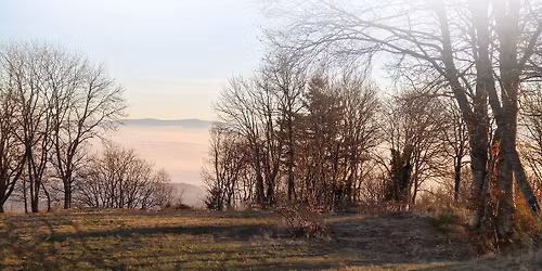 Premi\u00e8re \u00e9dition du trail et marche de l'espoir MADE IN Chanat