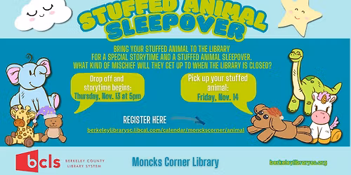 Stuffed Animal Sleepover