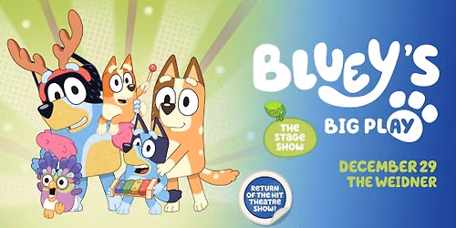 Bluey's Big Play