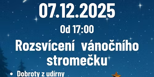 Rozsv\u00edcen\u00ed v\u00e1no\u010dn\u00edho strome\u010dku