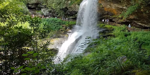 Summer Party at Maggie Valley