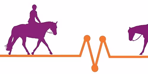 2026 Michigan Throwback Open Horse Show