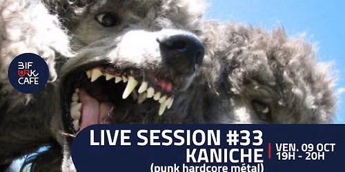 LIVE SESSION #33 - Kaniche (punk, hardcore, m\u00e9tal)