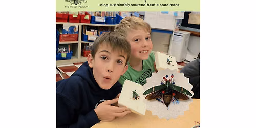 Beetle Pinning for Kids 5-17