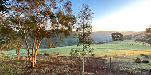 Rejuvenation Retreat with Julie