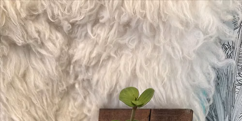 MOUNTED PLANT OR KOKEDAMA WORKSHOP