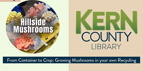 From Container to Crop: Growing Mushrooms in Your Own Recycling