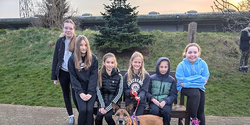 Animal Days Experience Session for 12-16 year olds