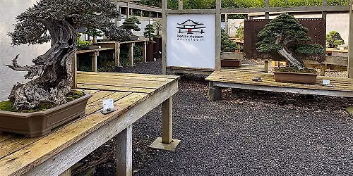 Sommerfest im Bonsai-Museum D\u00fcsseldorf