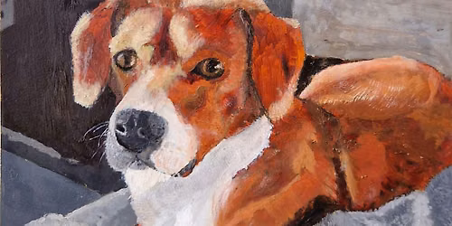 Paint your Pet