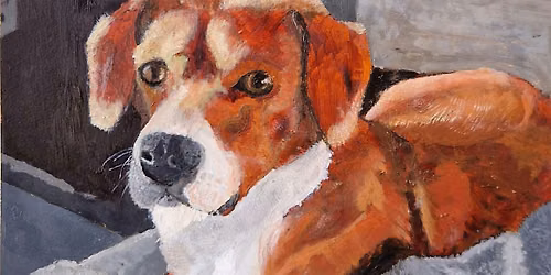Paint your Pet