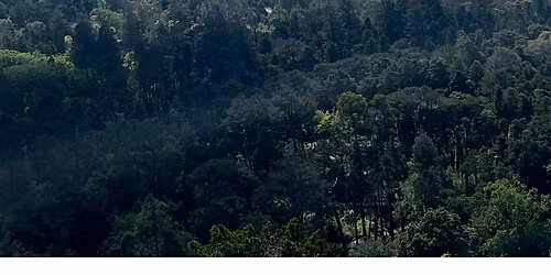 The Proteus Club: A Phone-Free Creative Workshop!