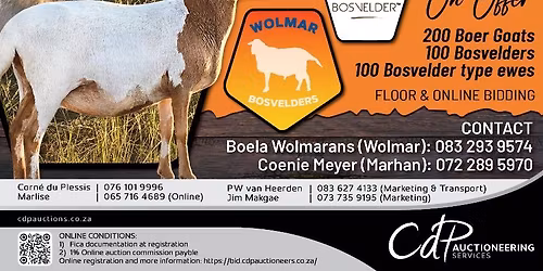 Wolmar Bosvelder Skaap & Marhan Boerbok Totale Uitverkoping-Total Dispersal Sale. 