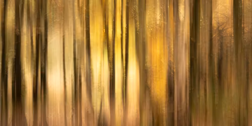 Looking Outside The Frame - How Not to Take Competition Winners!