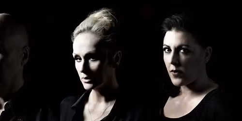 The Human League in Wellington
