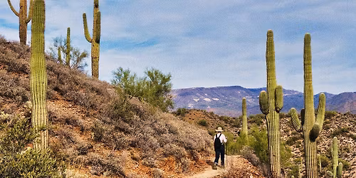 STATE FARM STADIUM TOURS - 12\/17\/2025