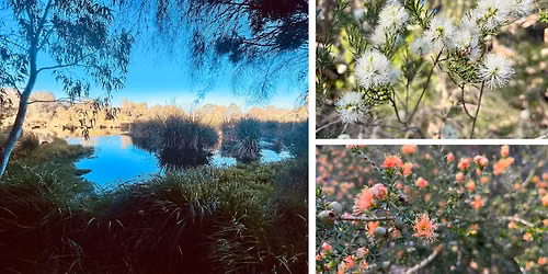 A guided flora walk of Eric Singleton Wetlands