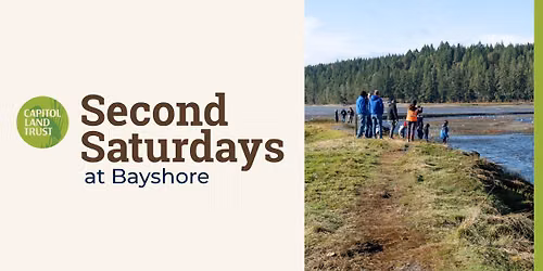 Second Saturdays: Salt Marshes & Low Tide Exploration