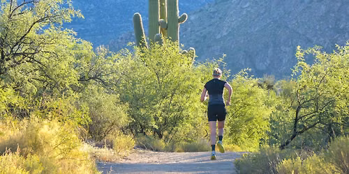 Catalina St. Park 50-Year 9.3 Trail Race and 5k Trail Run