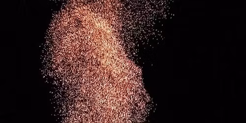 Annual Bonfire 2026