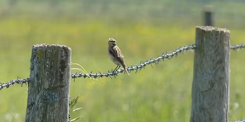 Sur les sentiers du Marais-Vernier