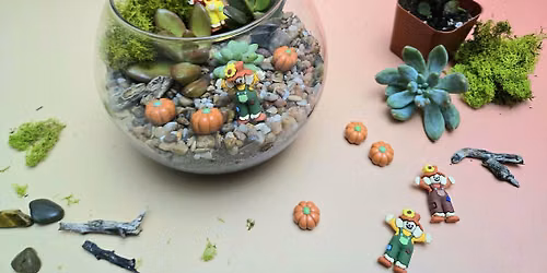 Create your own succulent terrarium
