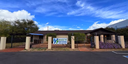 Rattle Snake Avoidance Training- By Appointments