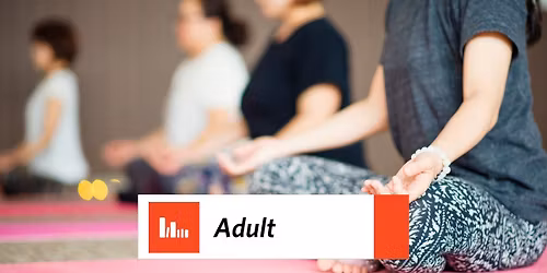 Gentle Yoga Flow: A Beginner Yoga Class