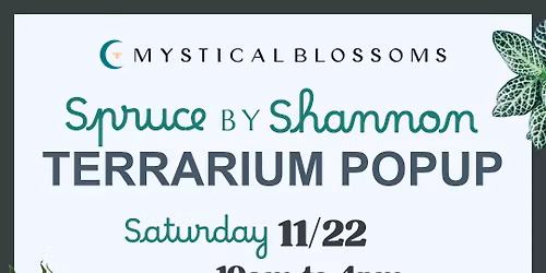 \ud83c\udf84Holiday Terrarium Pop-Up at Mystical Blossoms