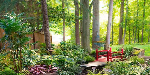 Designing Woodland Gardens