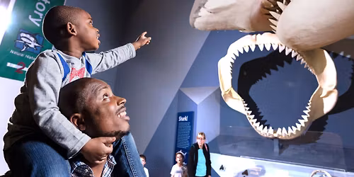 Accessibility Morning - Cookie Mouse