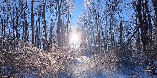 Winter Solstice Sunrise: A Walk to Welcome the Light