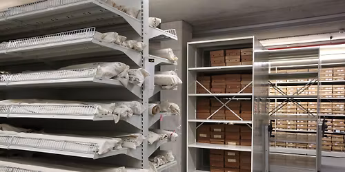 Behind the Scenes Tour