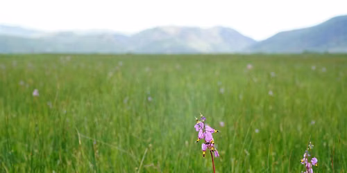 Roots of Conservation: Our Region's Open Space Legacy