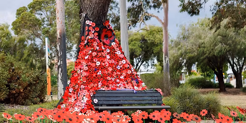 Poppy Project Installation & Morning Tea