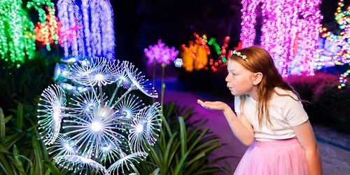 Hunter Valley Christmas Lights